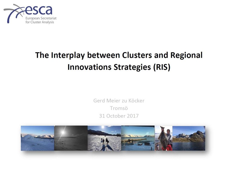 Arctic Cluster Excellence Initiative